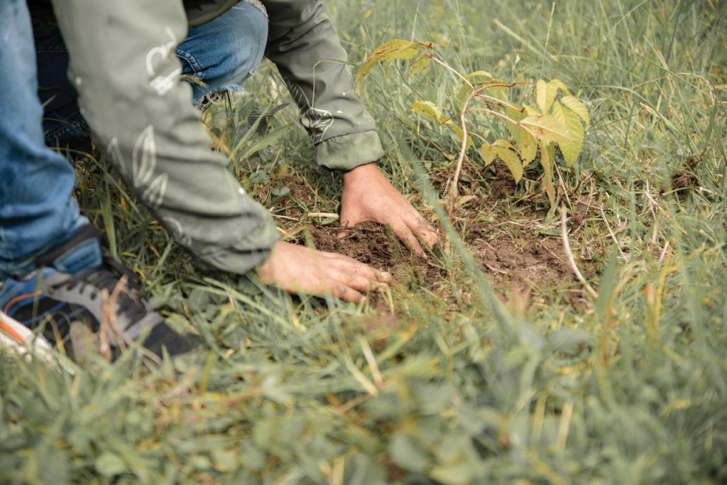 El progreso de las áreas de reserva de Manizales se logra con reforestación y mantenimiento