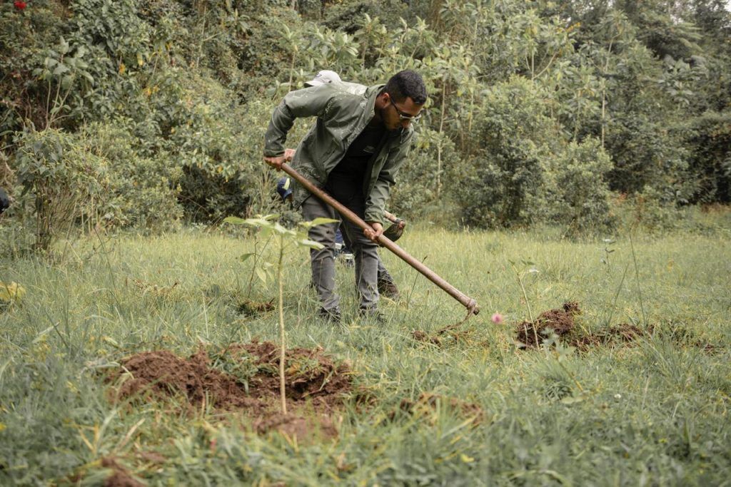 El progreso de las áreas de reserva de Manizales se logra con reforestación y mantenimiento