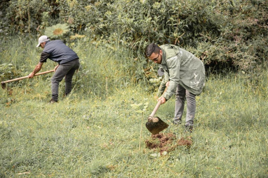 El progreso de las áreas de reserva de Manizales se logra con reforestación y mantenimiento