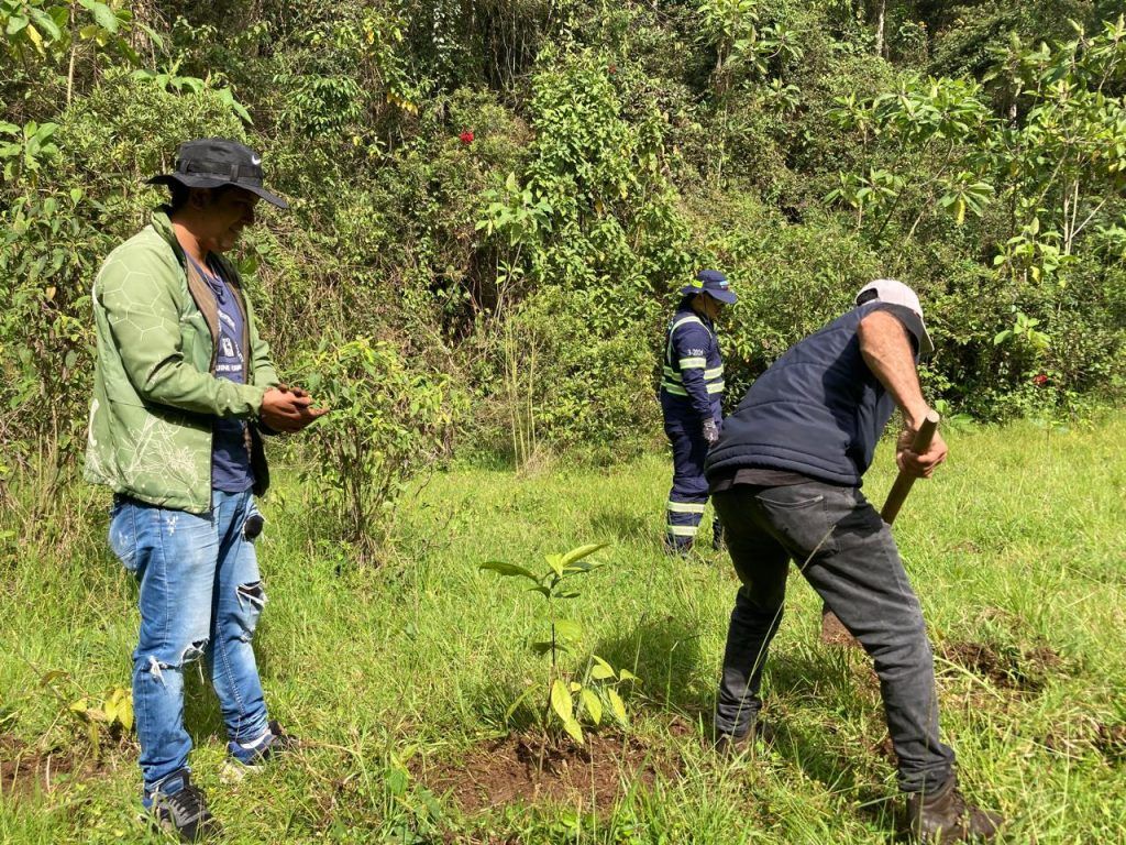 El progreso de las áreas de reserva de Manizales se logra con reforestación y mantenimiento