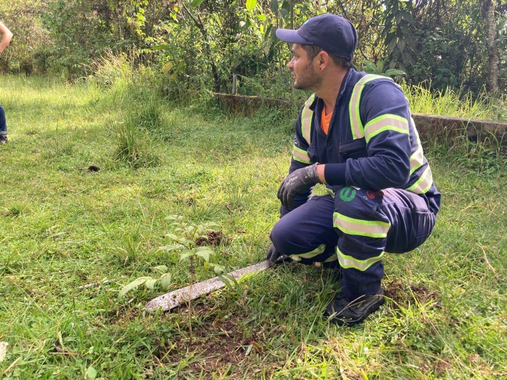 El progreso de las áreas de reserva de Manizales se logra con reforestación y mantenimiento