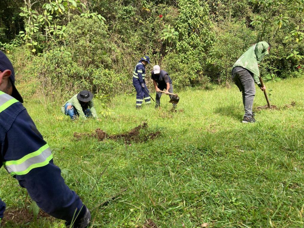 El progreso de las áreas de reserva de Manizales se logra con reforestación y mantenimiento