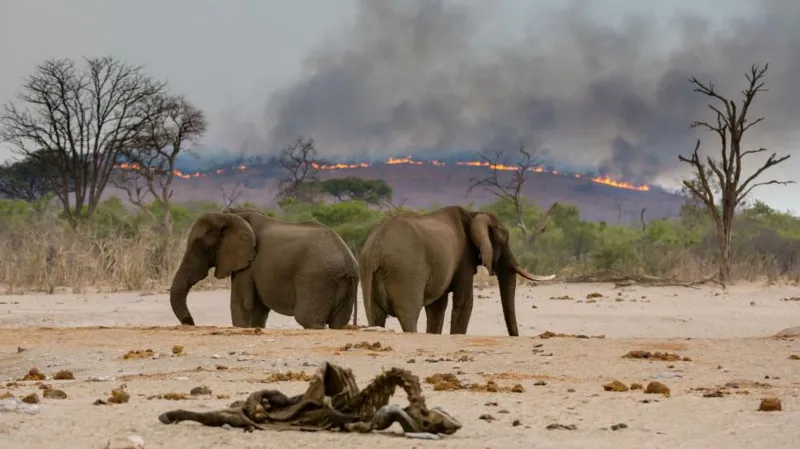 Issues like climate change, biodiversity and water are all interlinked, the report says via Getty