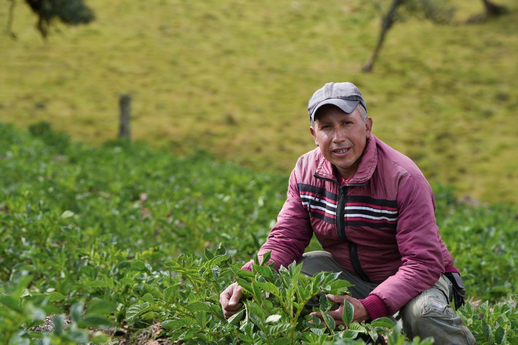 Primer Festival de la Papa, realizado por la Alcaldía de Manizales, en la vereda El Desquite